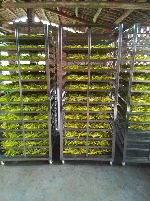 黃花菜烘干機(jī)、黃花菜烘干設(shè)備、黃花菜干燥機(jī)、黃花菜干燥設(shè)備、